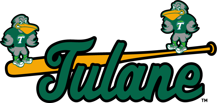Tulane Green Wave 2017-Pres Misc Logo iron on transfers for clothing
